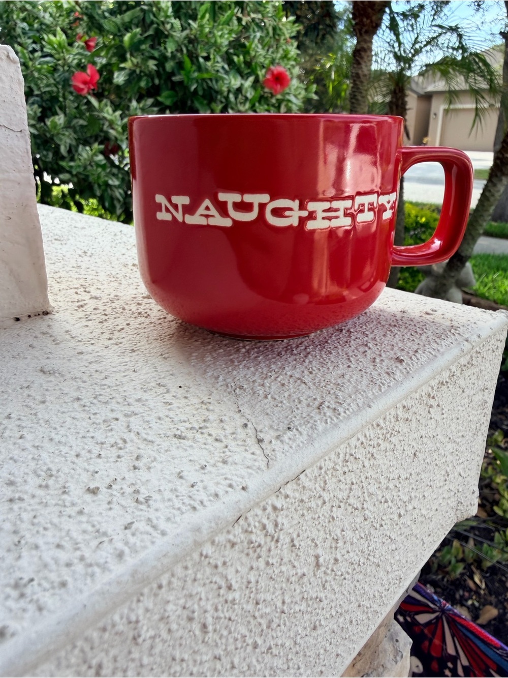 Naughty Nice Red Christmas Mug by Crate & Barrel